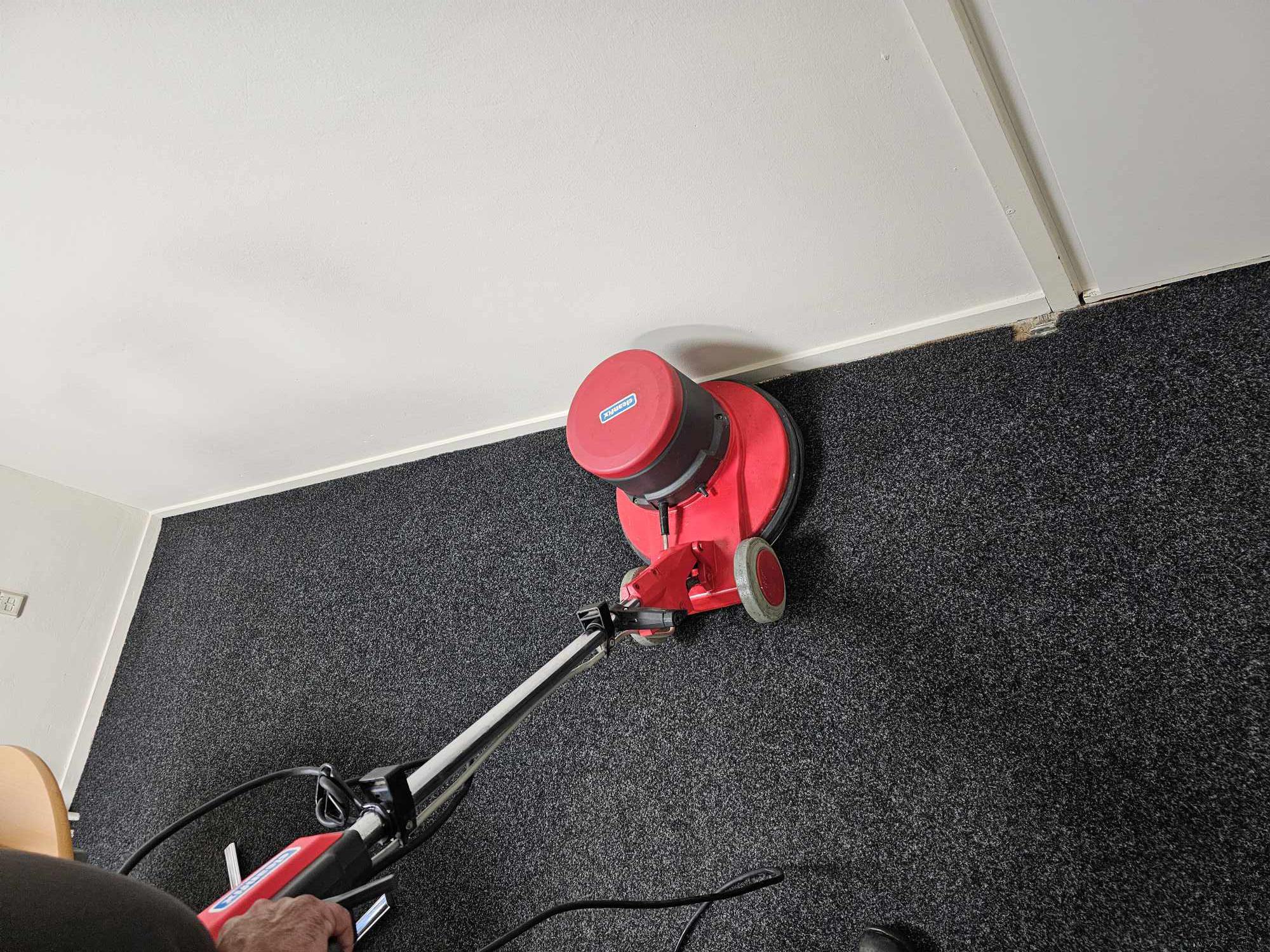 Tapijtreiniging